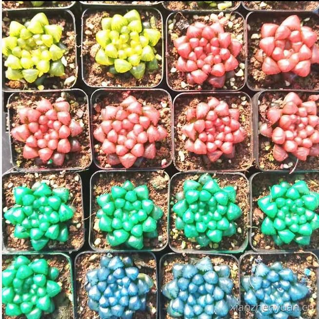 3种方法来辨别真假朋友,三个方面判断骗局