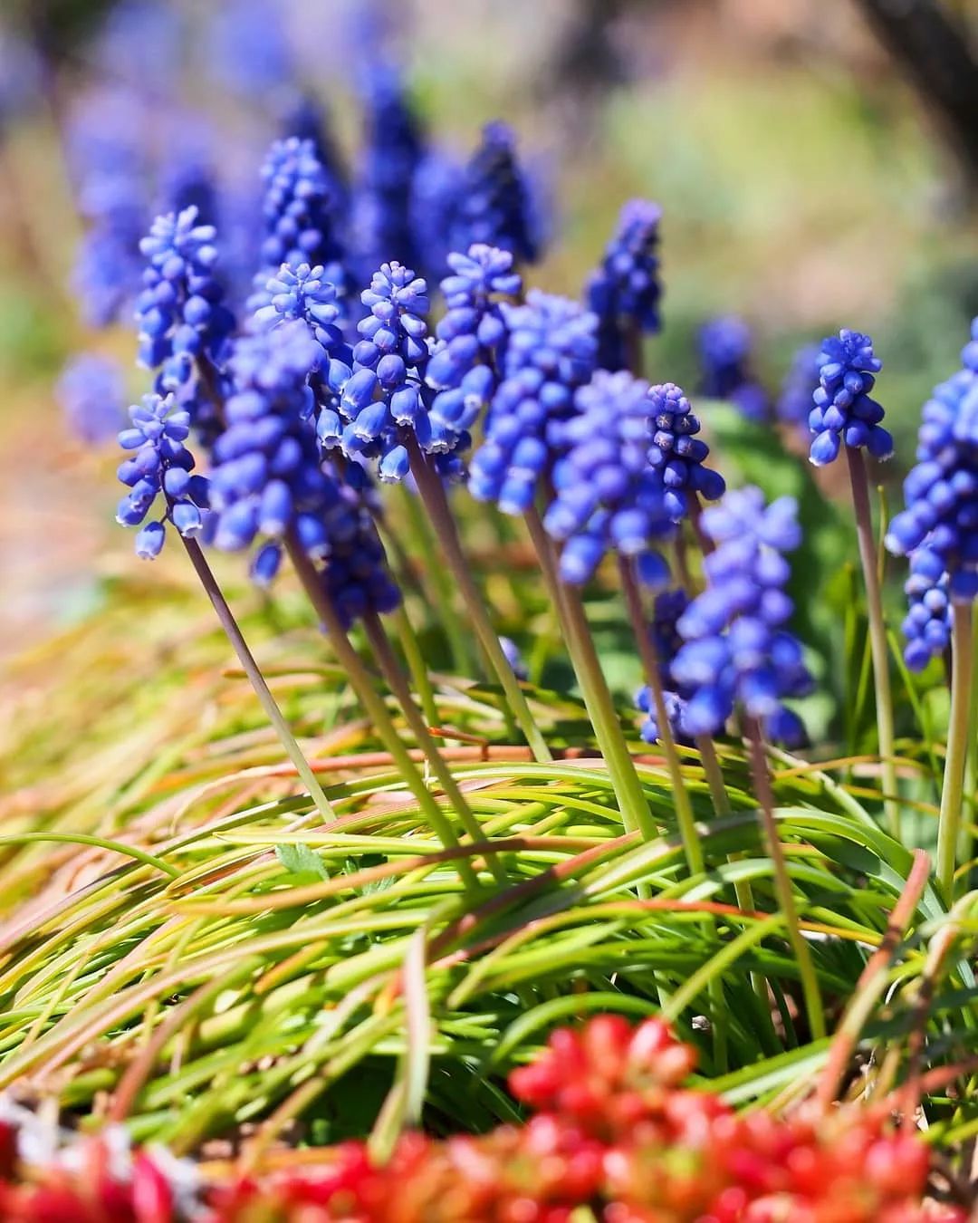 3种方法来辨别真假朋友,三个方面判断骗局