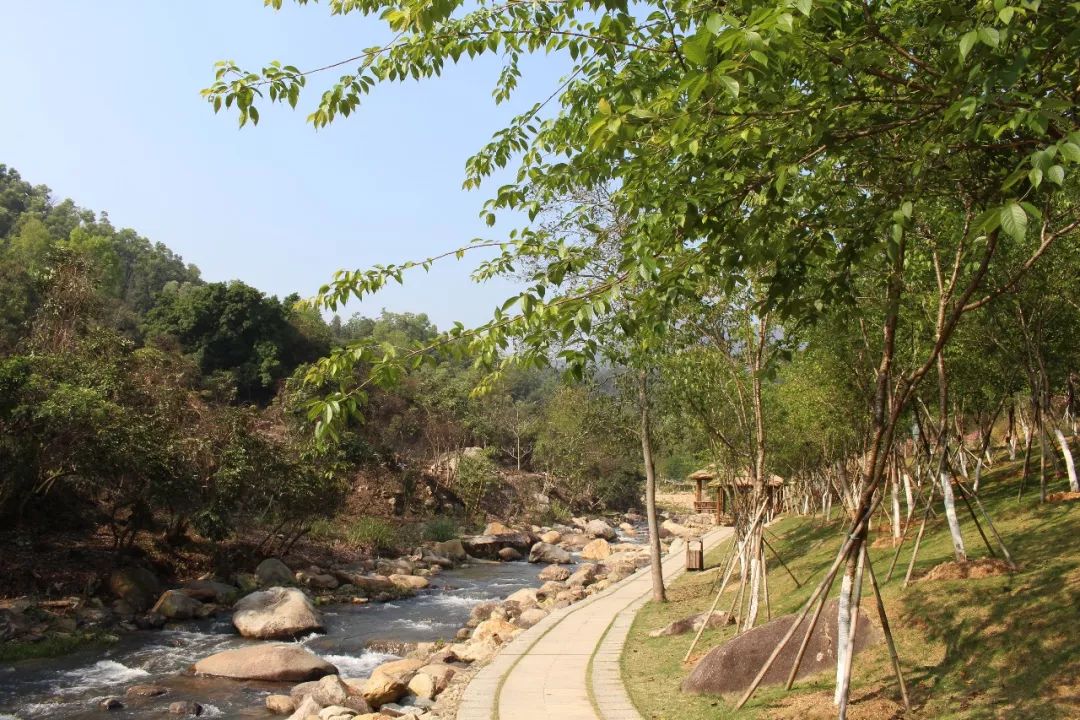 适合踏春的景点厦门,厦门春季旅游攻略