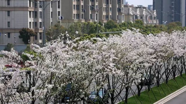 北仑清明游玩,下周北仑旅游景点