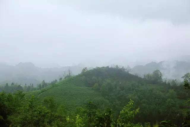 普定发生的事最新消息,普定最新消息