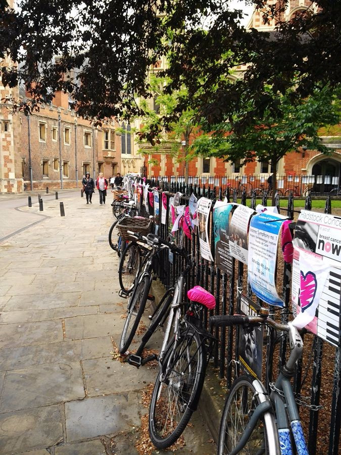 没学过剑桥英语初中毕业好考吗,没学过剑桥会怎么样