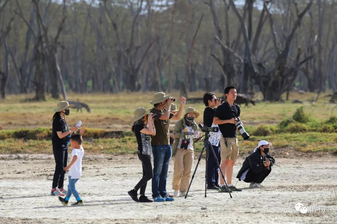 肯尼亚博物学之旅,博物肯尼亚