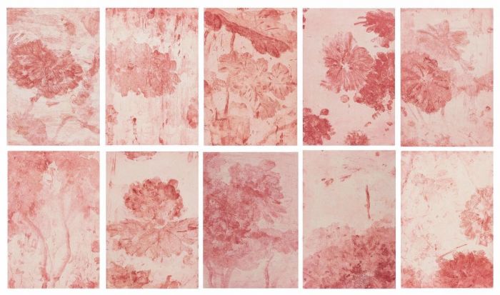 春暖花开百花齐放完整视频,春暖花开群芳争艳视频