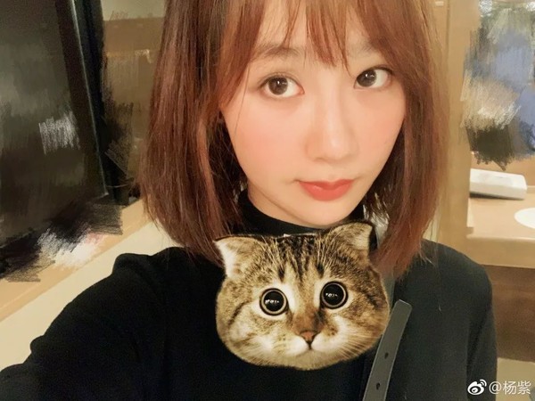 杨紫和男明星对视综艺,杨紫和男星亲密互动