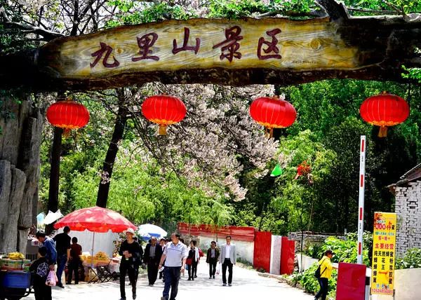 郑州周边踏青采摘野菜,郑州自驾踏青赏花好去处