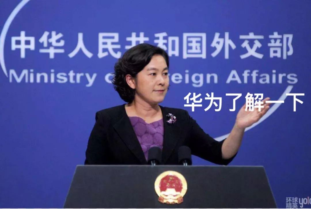 女外交官华春莹怒怼美国,华春莹外交霸气回应