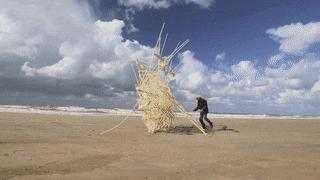 海边，他养了一群吃风的怪兽