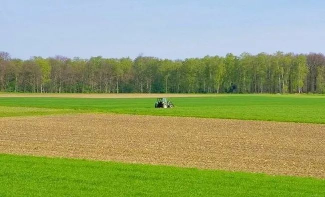 坚守扶贫一线的第一书记,村支书记来到脱贫攻坚第一线