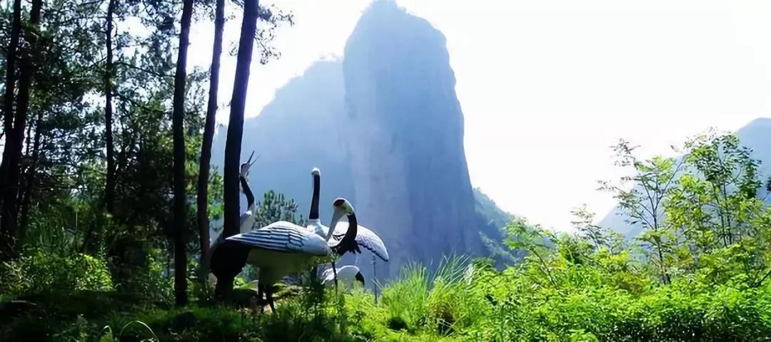 中国897个国家森林公园