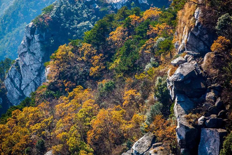 正是踏春的好时候,正是踏春好天气