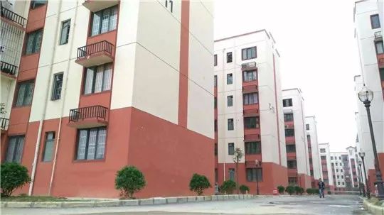 粤桂合作为山娃子上好学筑起坚强后盾