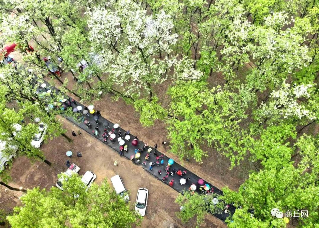 户外徒步穿越七峪沟,第五届黄河故道林海湿地徒步穿越