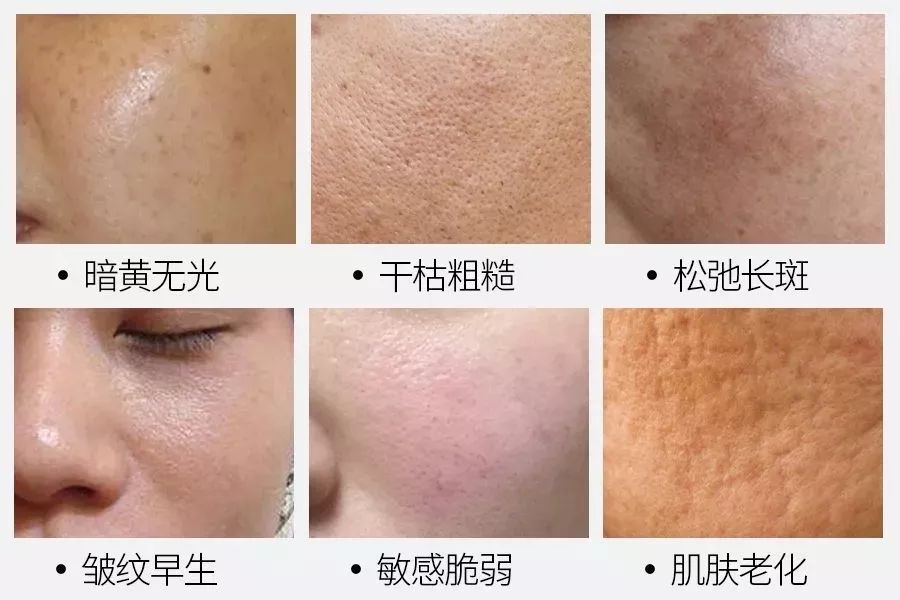 又一双国货之光,又一国货之光