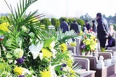 今年清明祭扫有什么讲究,清明各地祭扫最新要求