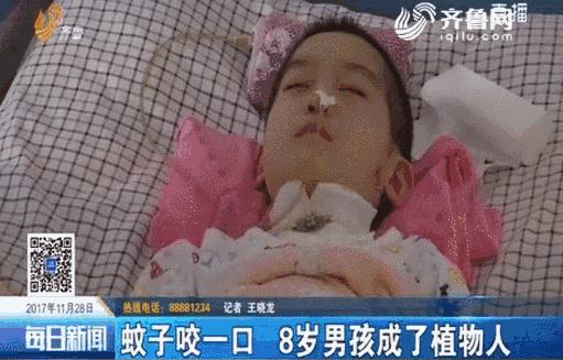 日本驱蚊好物,夏天灭蚊必备好物