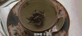 omg买它买它什么梗,omg买它原版