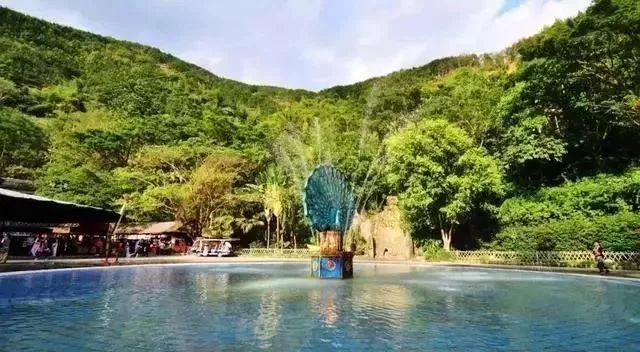 沈阳飞西双版纳直飞几个小时,沈阳直飞西双版纳机票多少钱