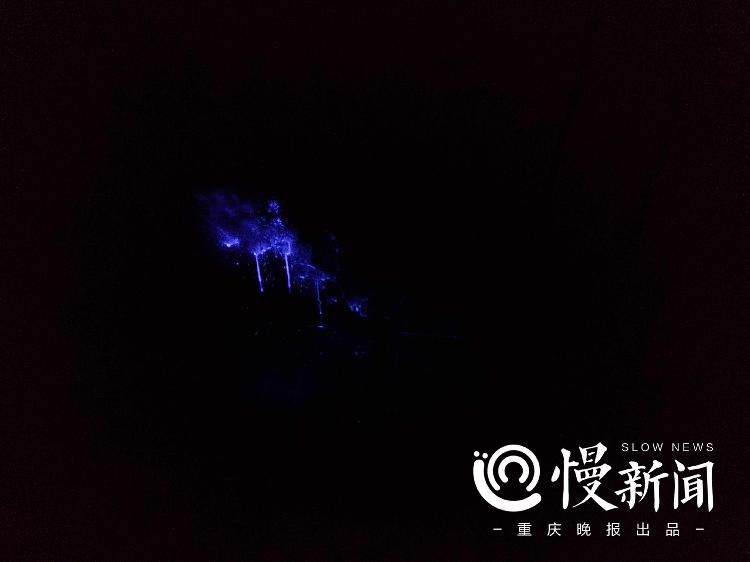 深度|同康路1号,请求永不出发