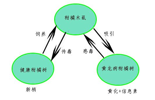 预防黄龙病有什么禁用药吗,沃柑黄龙病用什么药预防