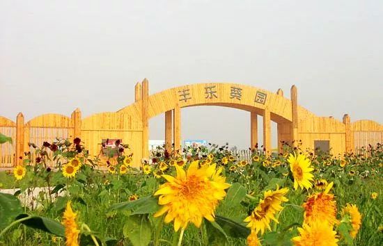 郑州周边适合野炊的地方,郑州野炊烧烤最好去处