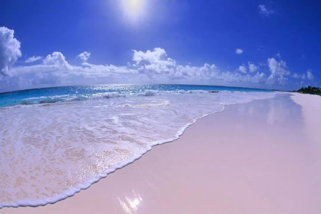 海螺珍珠饰品,海螺珠珠宝品牌