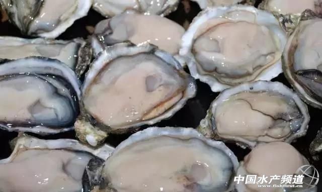 各种海鲜哪些部位不能吃,海鲜哪些人不可以吃