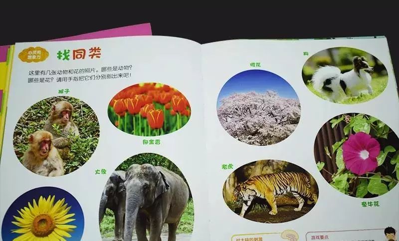 宝宝全脑早教书,早教书0-3岁全脑开发