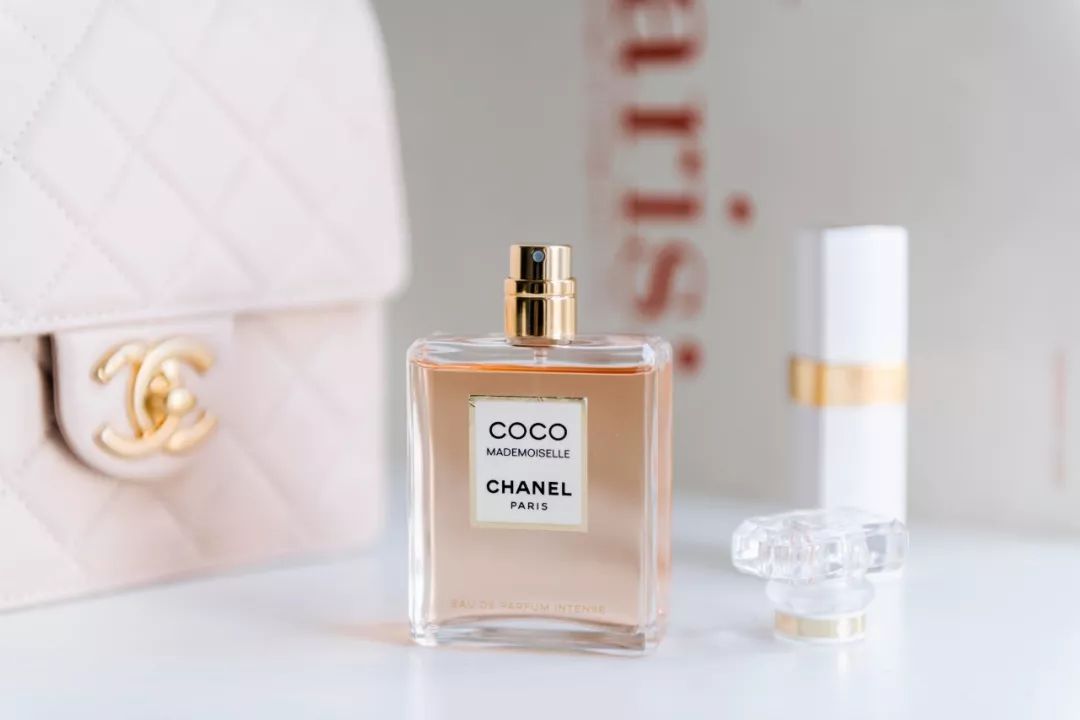 寻找香奈儿,用鼻子闻气味找对象