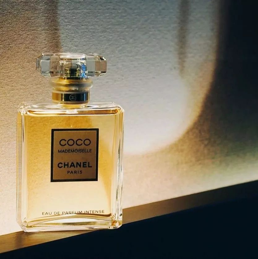 用鼻子寻找春天,用鼻子闻气味找对象