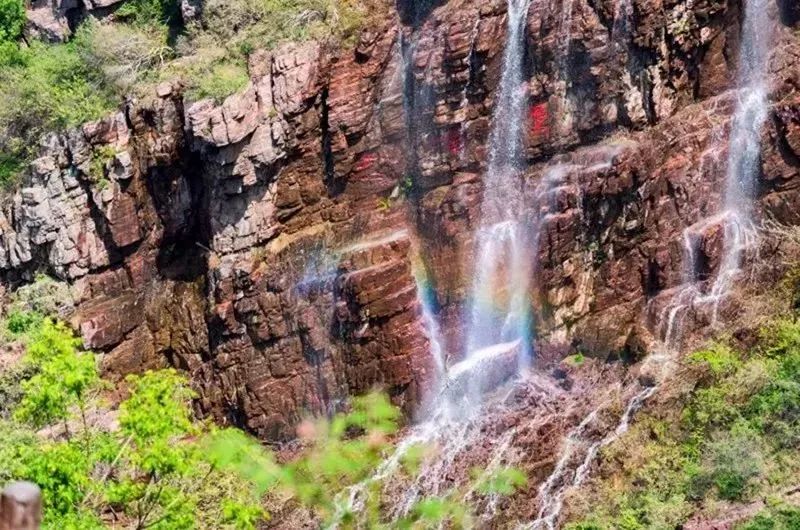 免票或半价！全国几百个景区集体降价，河南有这些…千万别错过！