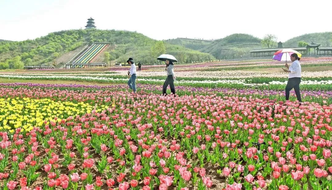 免票或半价！全国几百个景区集体降价，河南有这些…千万别错过！