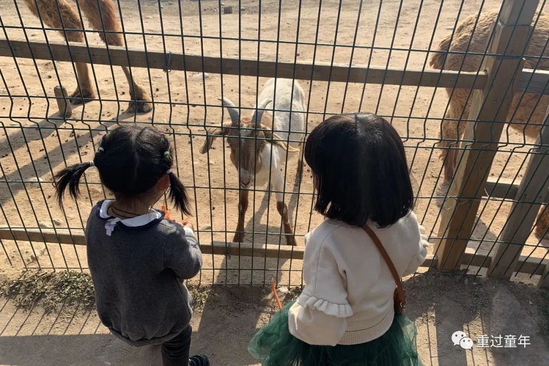 西安一个很有特色的公园,西安十大免费景区公园