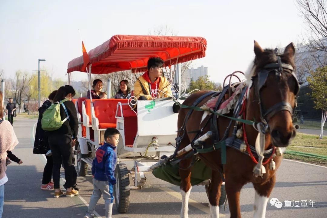 西安一个很有特色的公园,西安十大免费景区公园