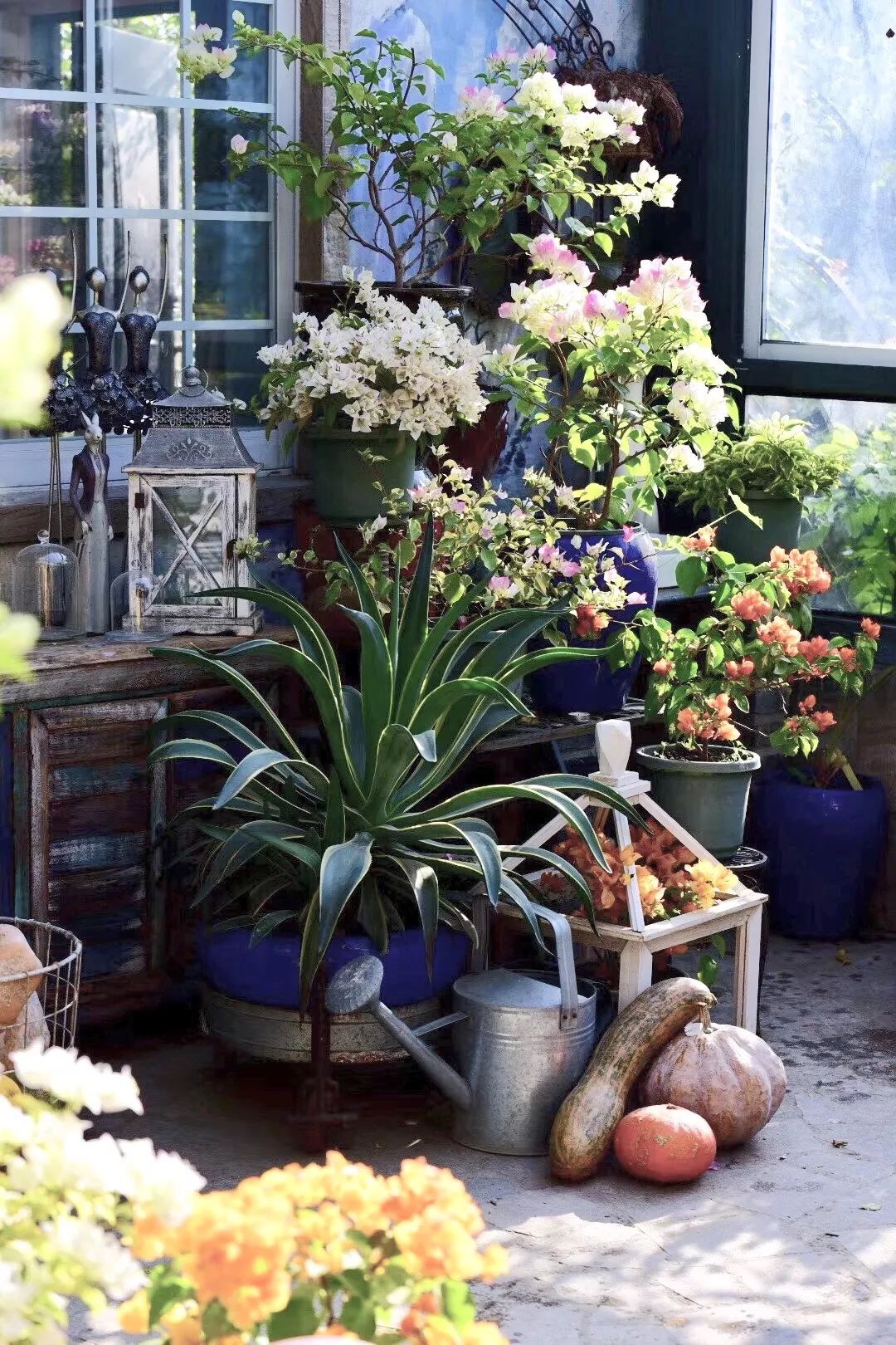 麻宁推荐|中国最时尚的未来花世界，拍照太出片了！