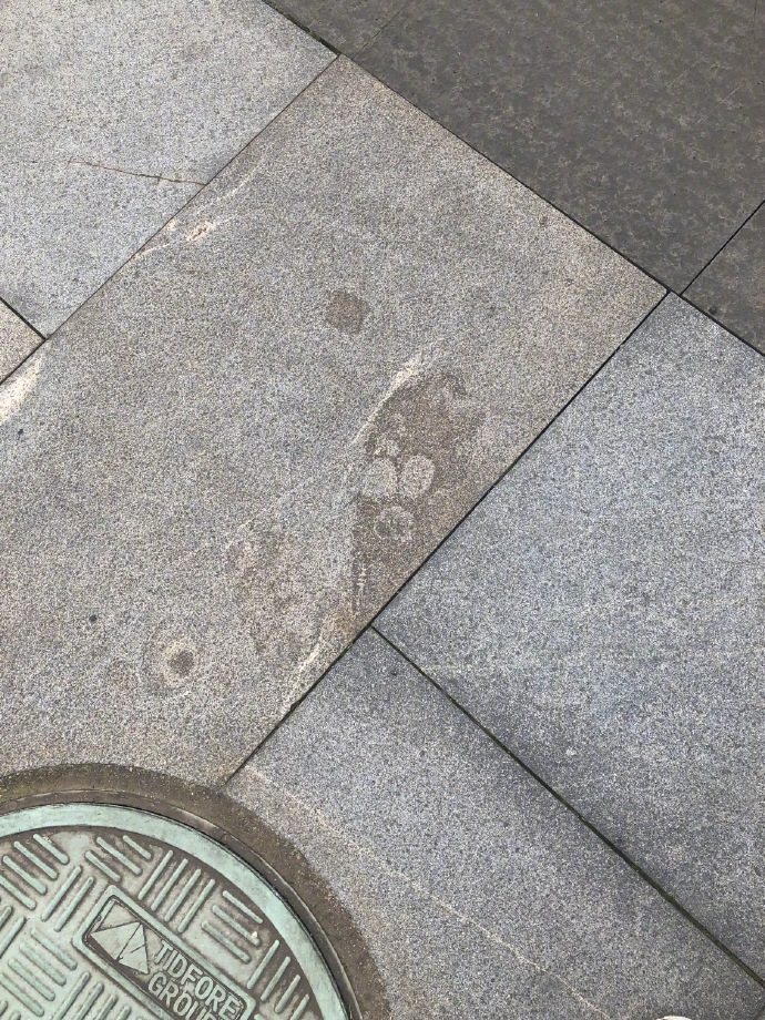 emoji吐舌头模仿挑战,emoji模仿挑战吐舌头