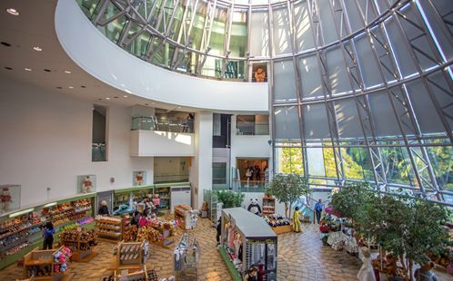 泰迪熊博物馆奇妙游,成都泰迪熊博物馆在哪里啊