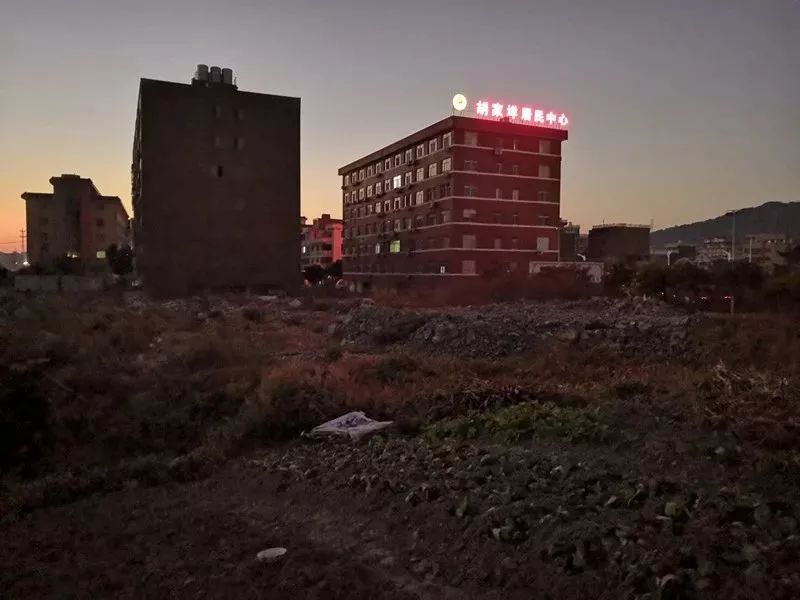 乐清白石常青藤幼儿园,乐清中心幼儿园清和园区