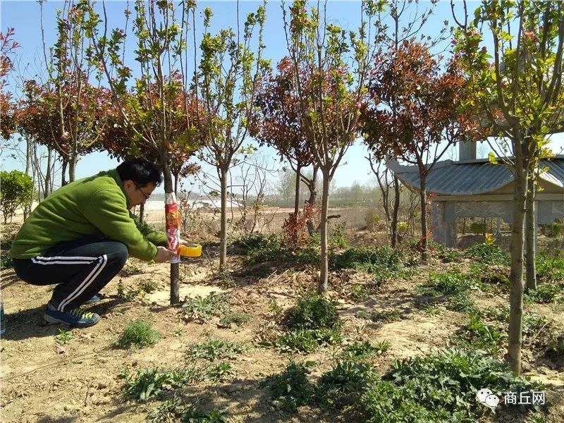 “懂菜农业”杯第七届黄河故道湿地花海徒步穿越路标已布置完成，快来认识一下！