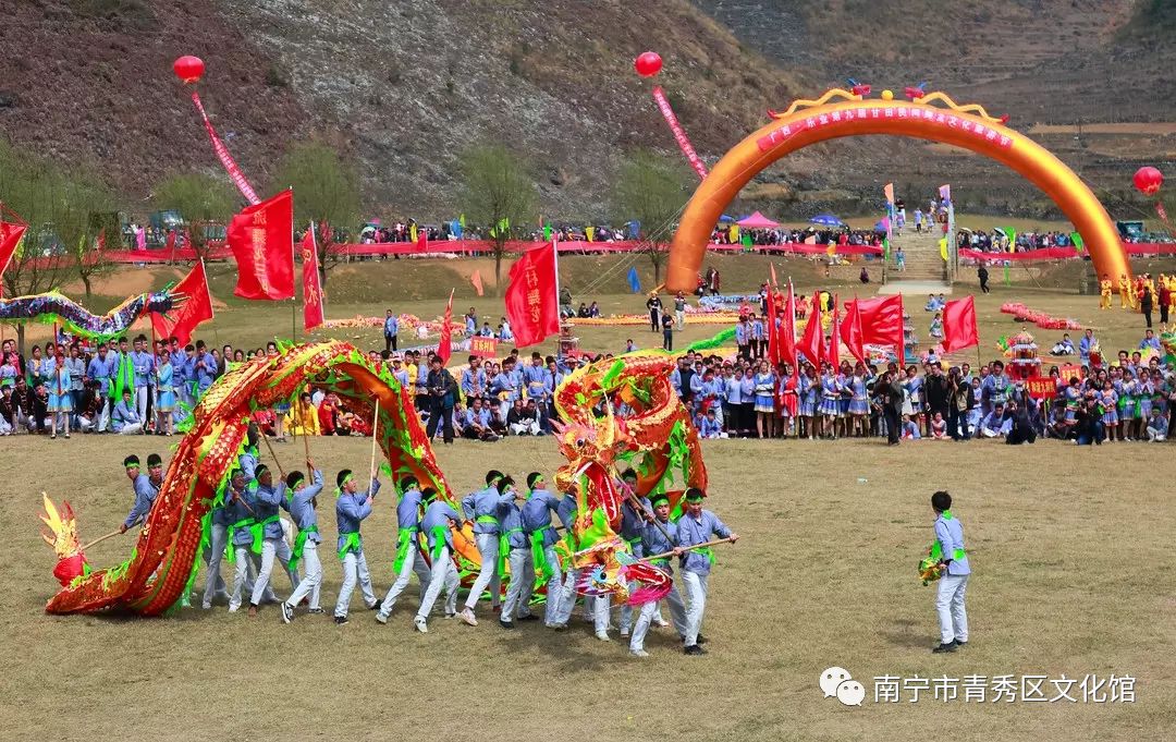 群龙聚首贺新春,青秀区国际传统舞龙邀请赛