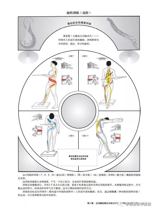腰间盘突出脊柱侧弯康复训练,螺旋肌肉链训练治疗腰椎间盘突出