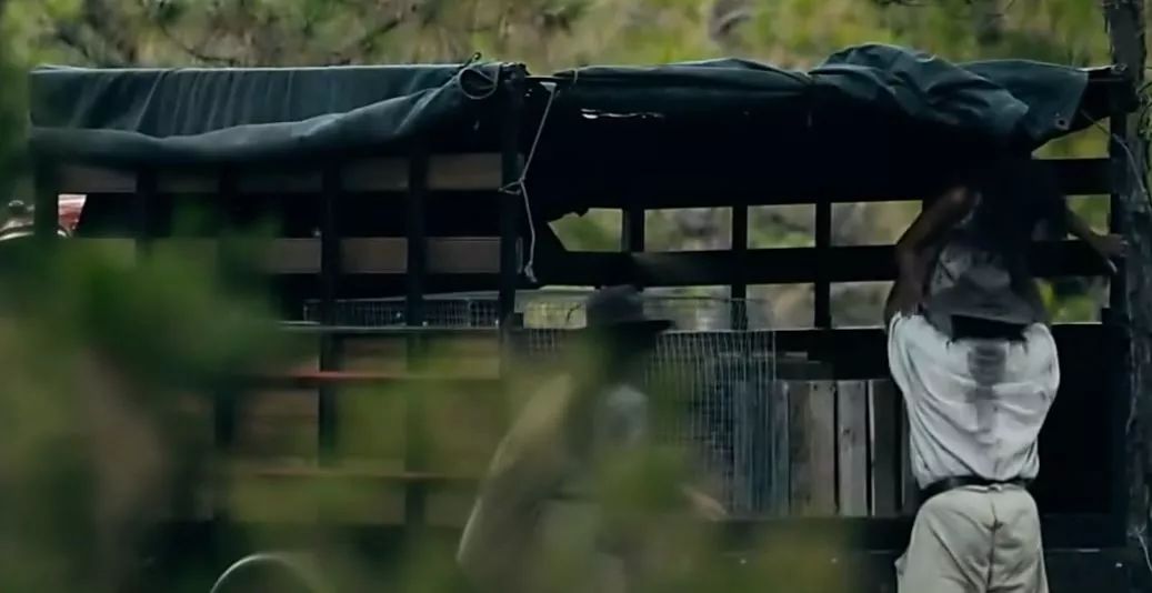 被绑架的4岁小孩,4岁儿童被绑架