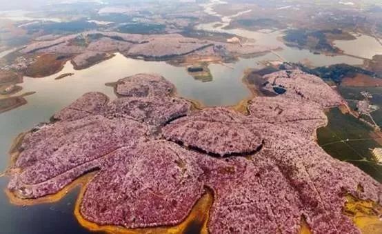 多彩贵州风景美如画,贵州自驾山路绝美风景