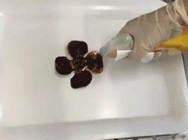 黑科技除积碳,黑科技油污清洁剂