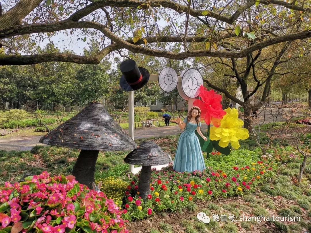 探索上海的特色景点,探索上海旅游景点和美食推荐