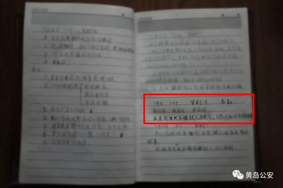 忠诚之路,忠诚之路完整版