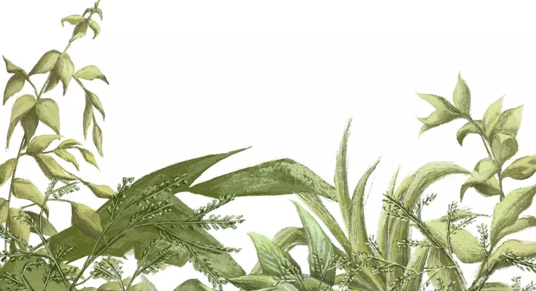 【慢城·关注】保护秦岭│蓝小宣带你探秘秦岭蓝田段“绿色宝库”（三）