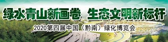 高中足球联赛开赛时间最新,田家炳中学足球联赛