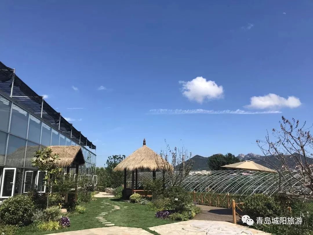 青岛城阳旅游线路推荐,青岛城阳一日游推荐