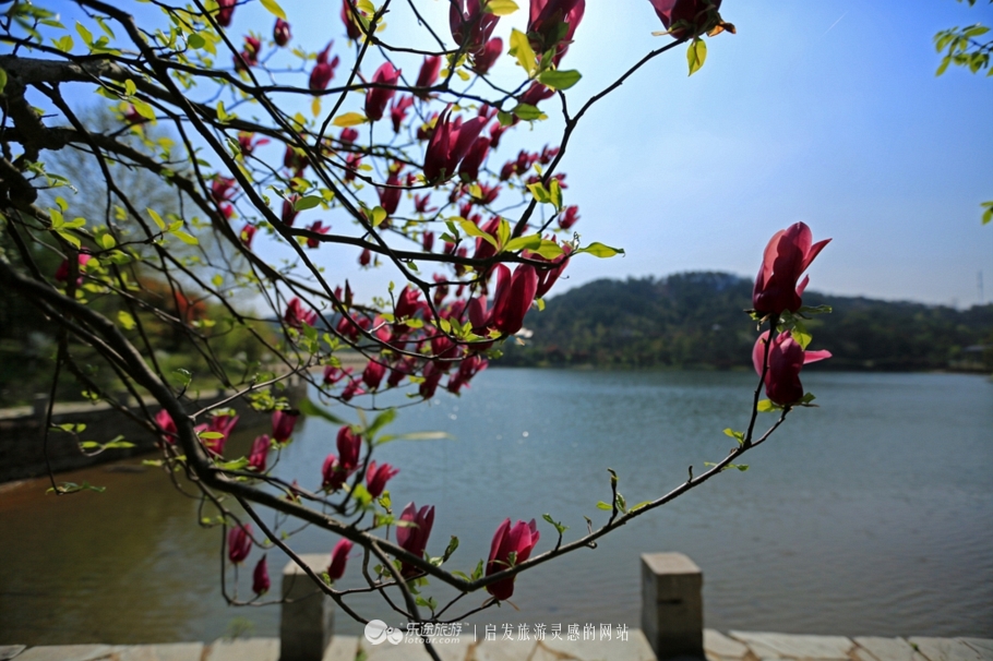 不止西湖,西湖十景龙井景区